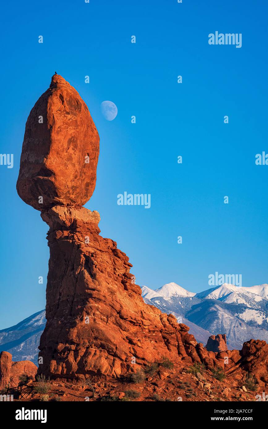 Balanced Rock and rising moon in Arches National Park in Utah Stock Photo