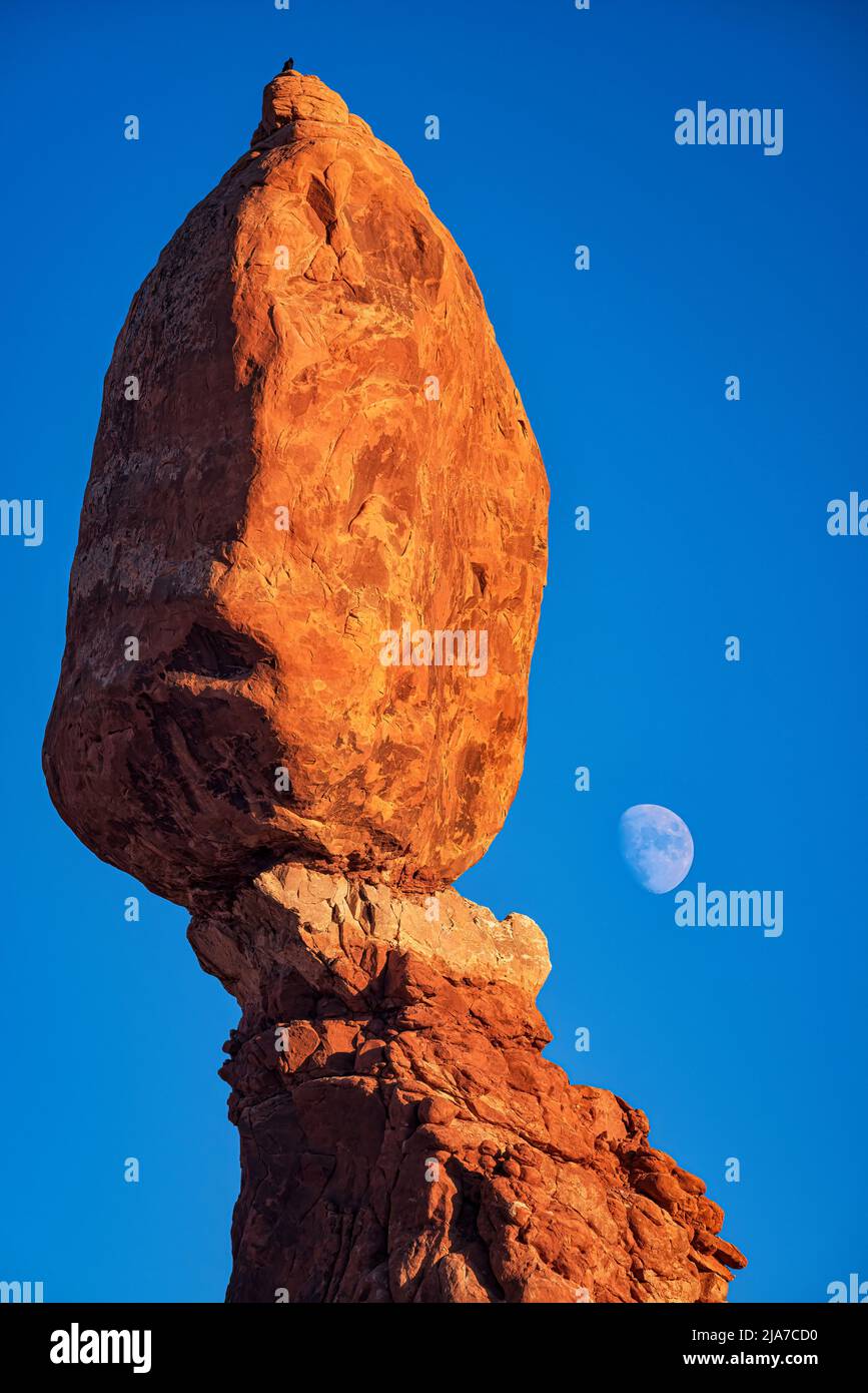 Balanced Rock and rising moon in Arches National Park in Utah Stock Photo