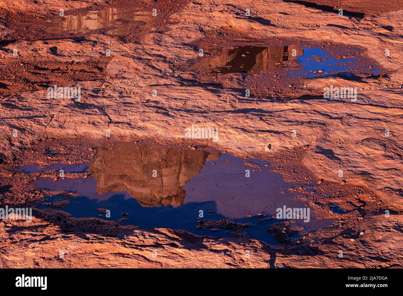 Red Rocks reflected in puddle at Arches National Park in Utah Stock Photo