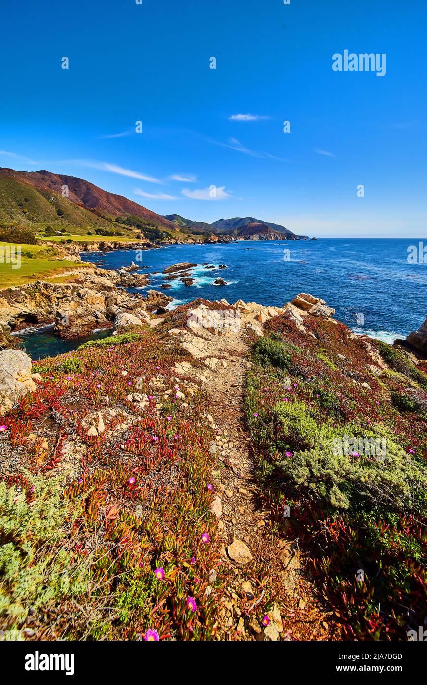 Hiking path through spring flowers on cliffs by ocean Stock Photo - Alamy