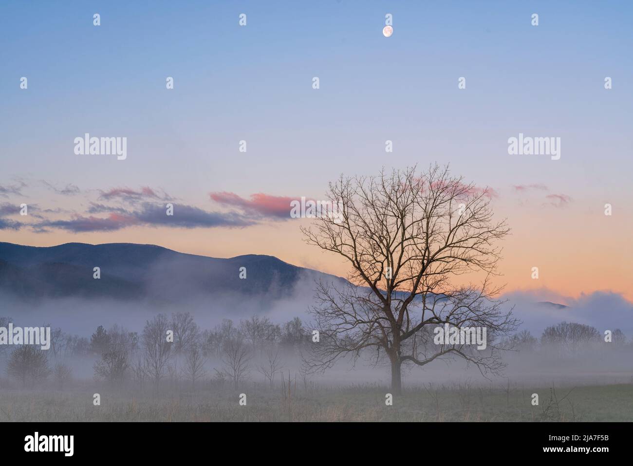 Misty morning with setting moon in Cades Cove Stock Photo