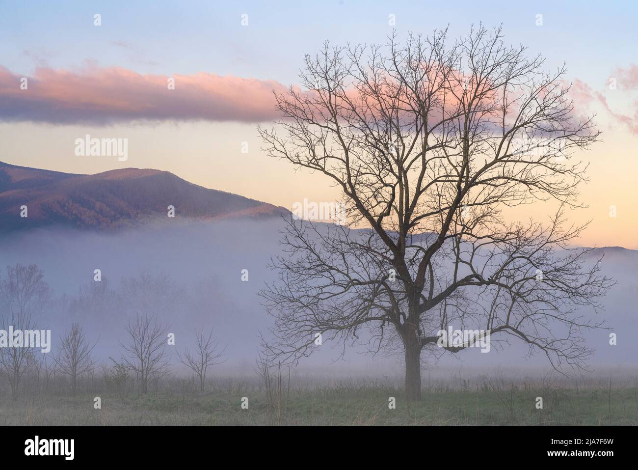 Misty morning with setting moon in Cades Cove Stock Photo