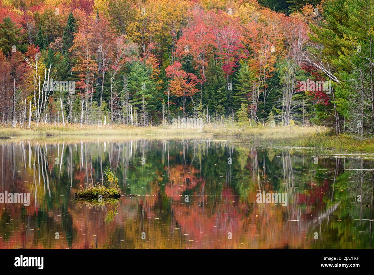 Autumn at Council Lake in Hiawatha National Park in Michigan Stock Photo