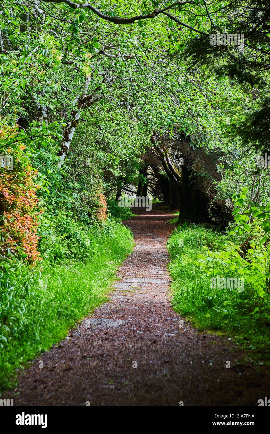 Countryside path lush green hi-res stock photography and images - Alamy
