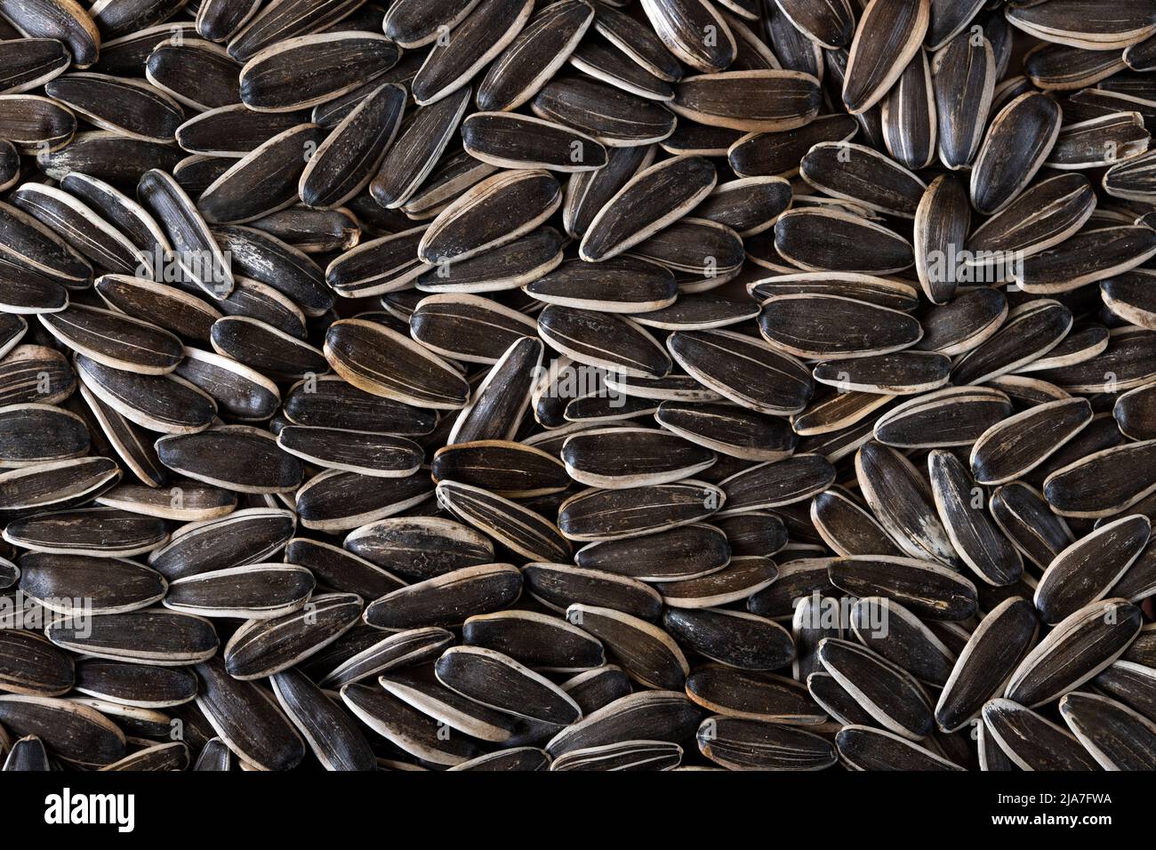 Organic black sunflower seeds a pile Stock Photo Alamy