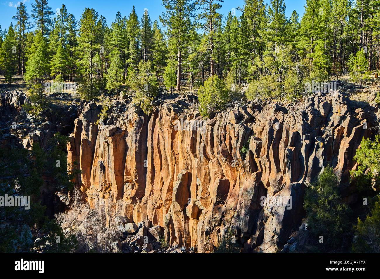 Canyon lined with vertical wavy lines and pine tree forest Stock Photo