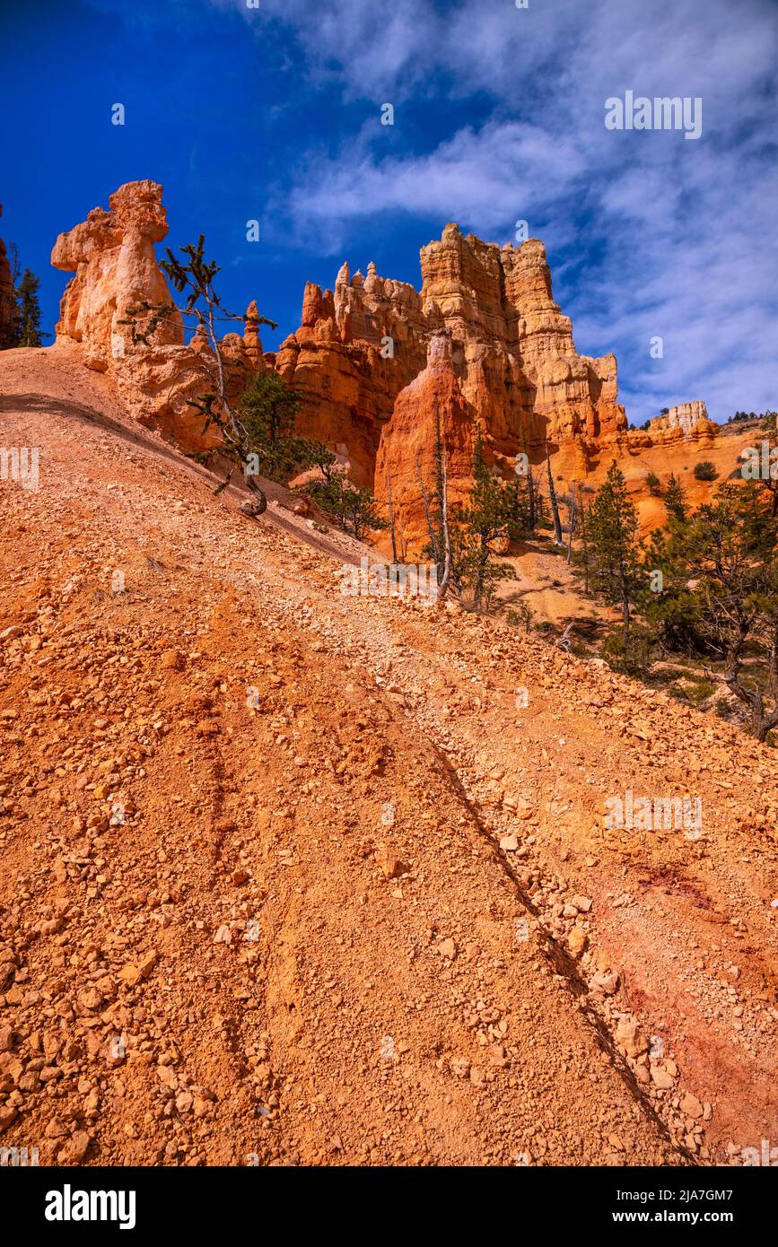 Colorful hoodoos of Bryce Canyon National Park in Utah Stock Photo