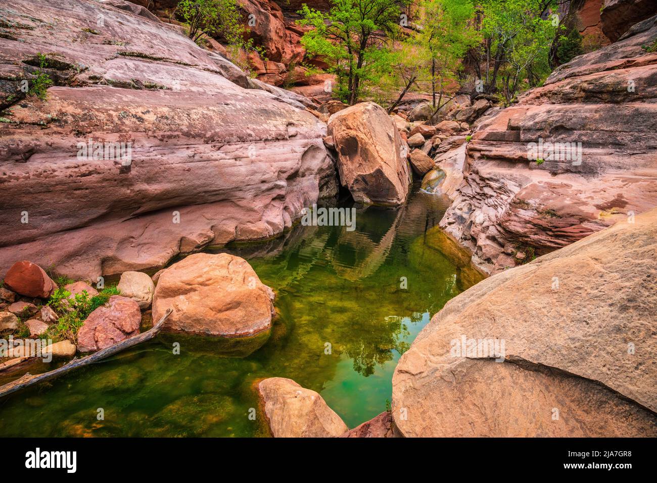 Pine Creek in Zion National Park Stock Photo