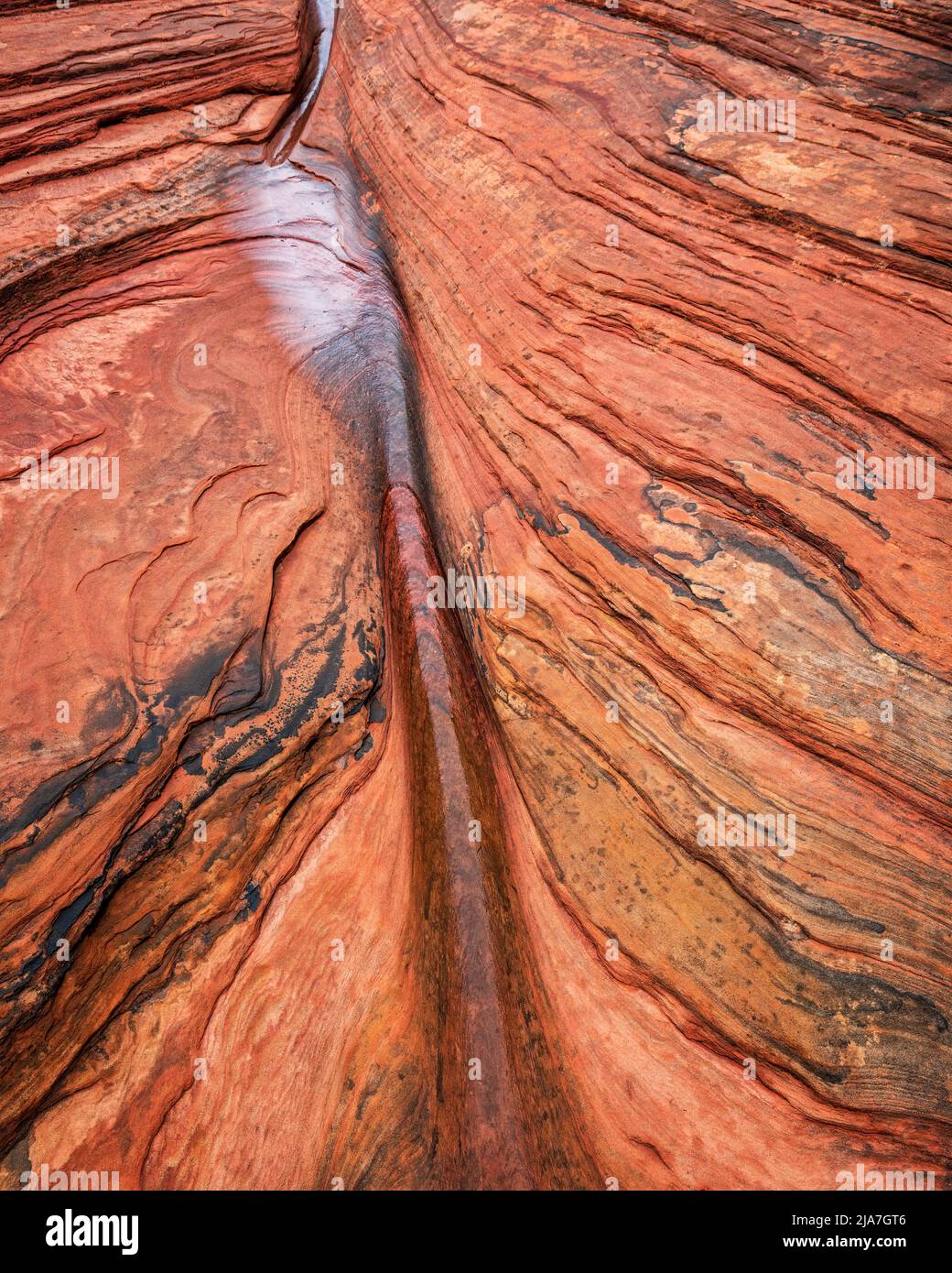 Water carved rocks of the Many Pools area of Zion National Park in Utah Stock Photo