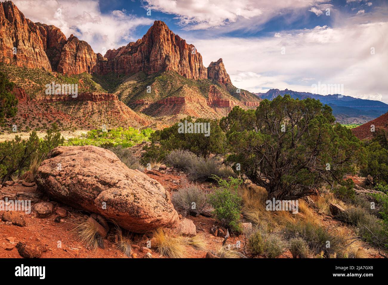 Evening light on the Watchman in Zion National Park in Utah Stock Photo