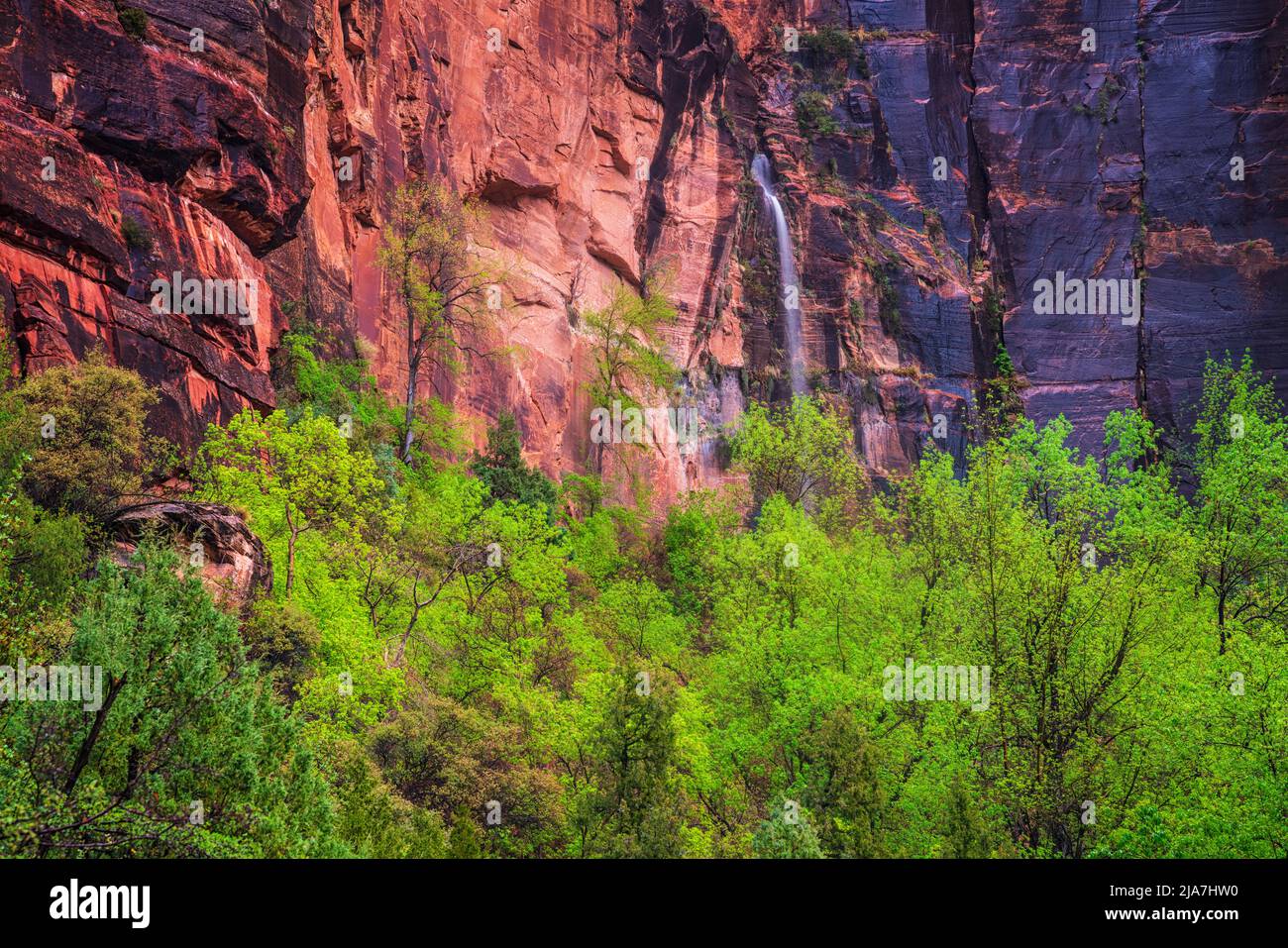 Waterfall and spring foliage at Emerald Pools in Zion National Park in Utah Stock Photo
