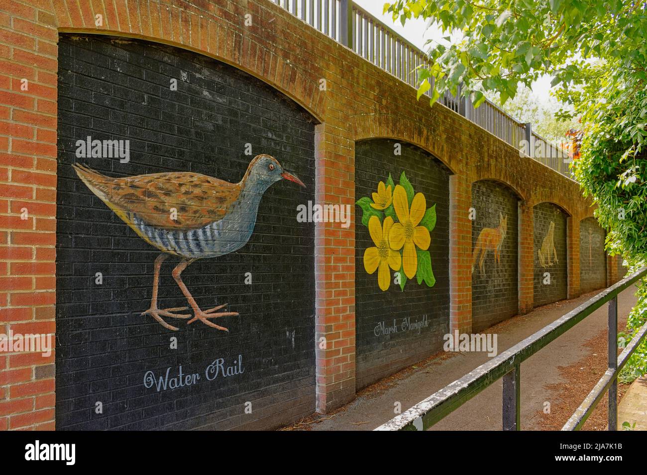 OXFORD CITY ENGLAND OXFORD CANAL PAINTING OF WILDLIFE AT THE SIDE OF FRENCHAY ROAD BRIDGE Stock Photo