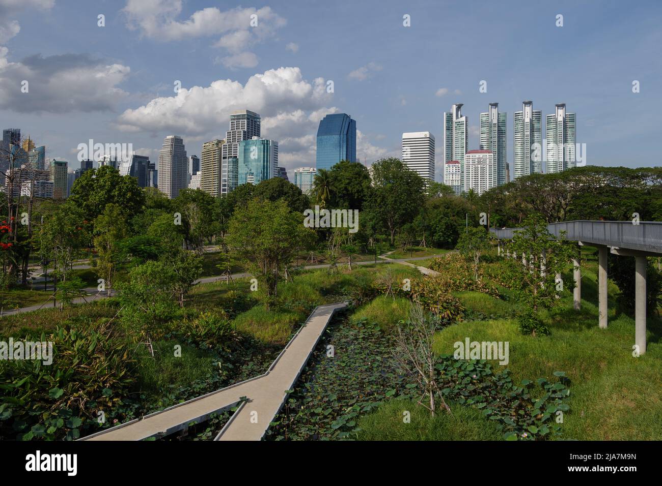 Outdoor sunny view of Benchakitti Forest Park, famous public park in
