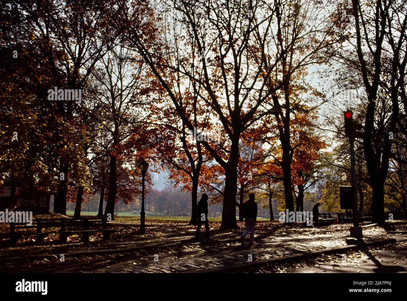 Central Park during the autumn, New York City 1990s Stock Photo