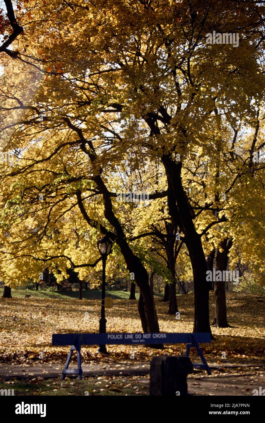 Central Park during the autumn, New York City 1990s Stock Photo