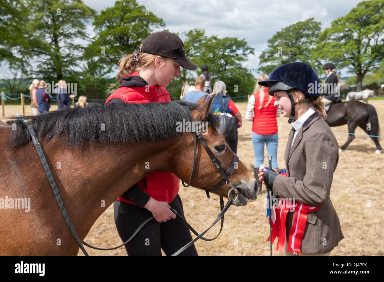 Lesmahagow, Scotland, UK. 28th May, 2022. Horses and ponies judging at