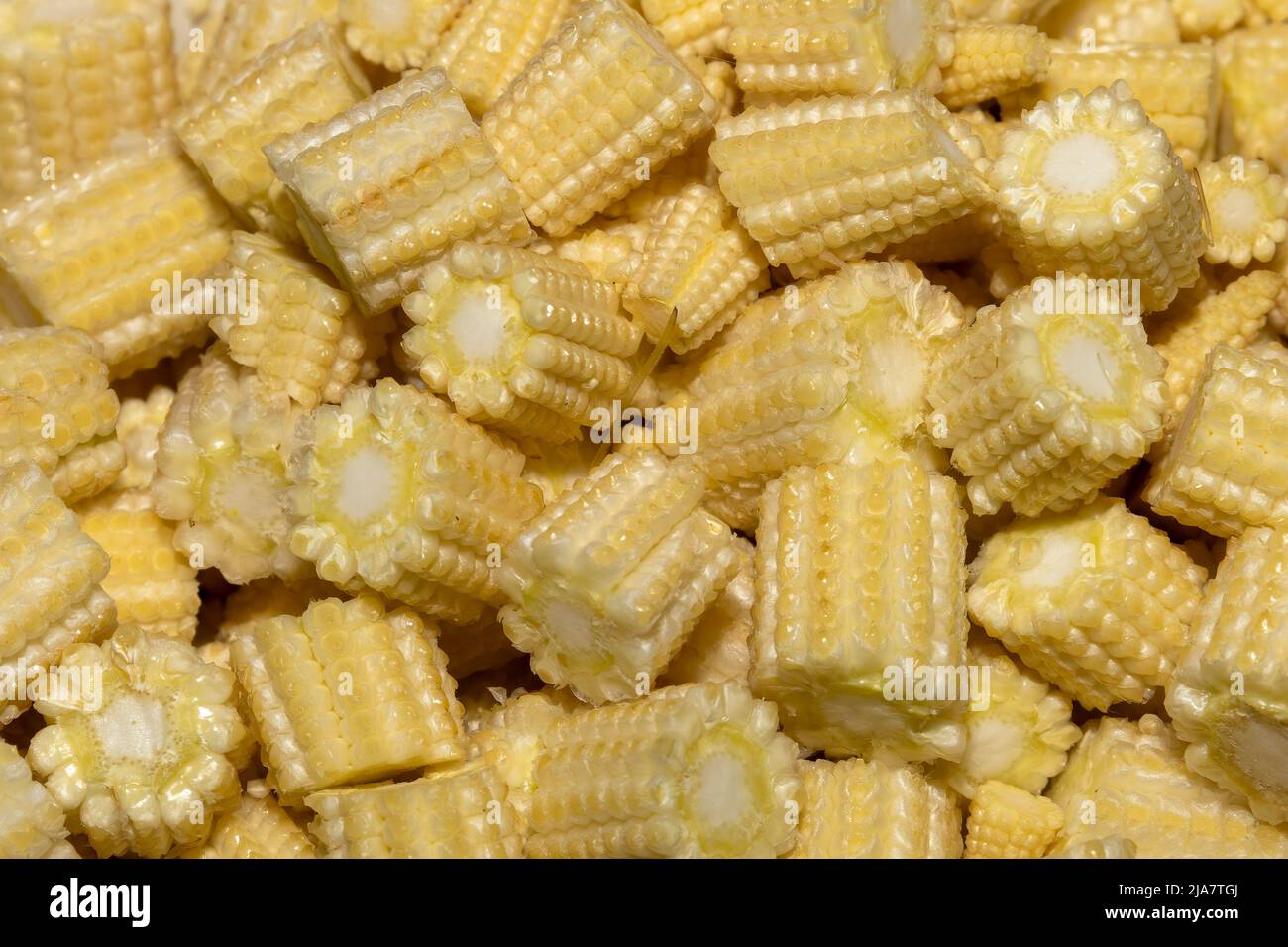 Closeup macrophotograph of cut baby corn Stock Photo