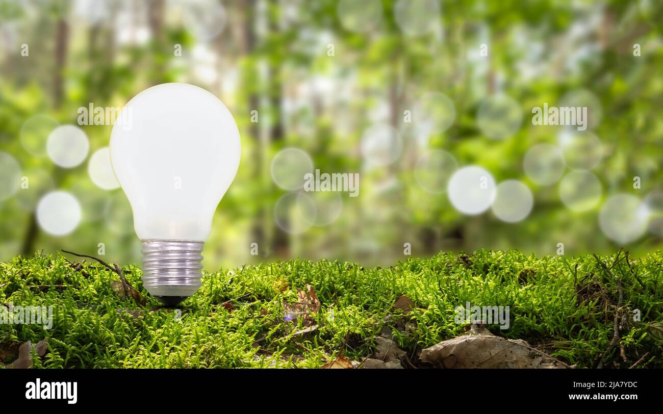 Light bulb in nature against blurred green forest background. Stock Photo