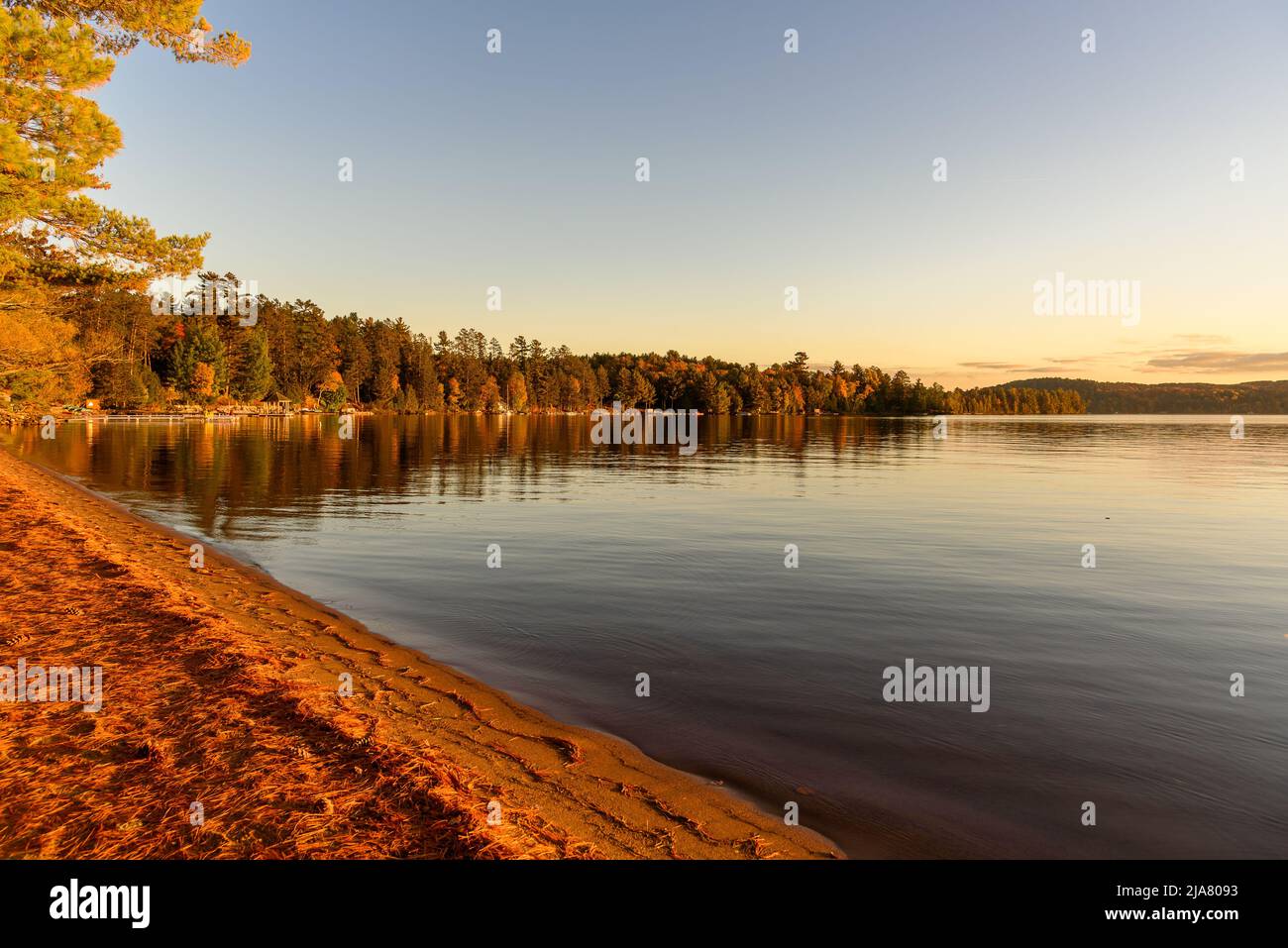 Forested shores of a lake in warm sunset light in autumn. Idyllic scenery. Stock Photo