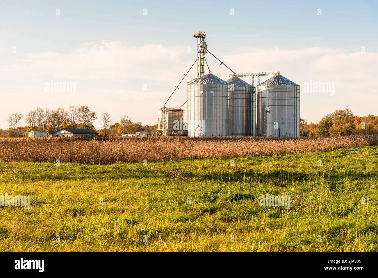 Grain elevator with big corrugated metal storage tanks in warm sunset