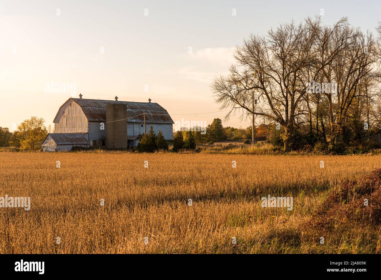 Old metal barn in a rural landscape at sunset in autumn Stock Photo