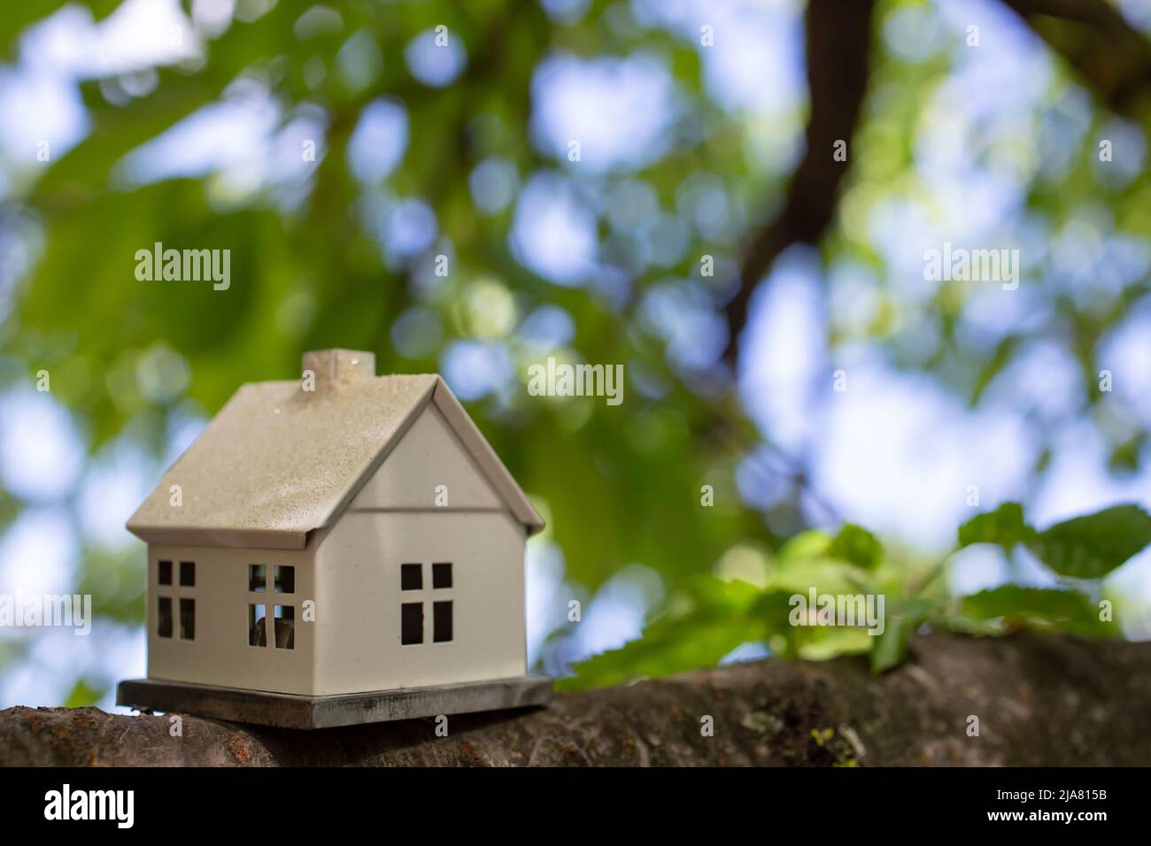 White miniature model house on a tree branch in springtime Stock Photo