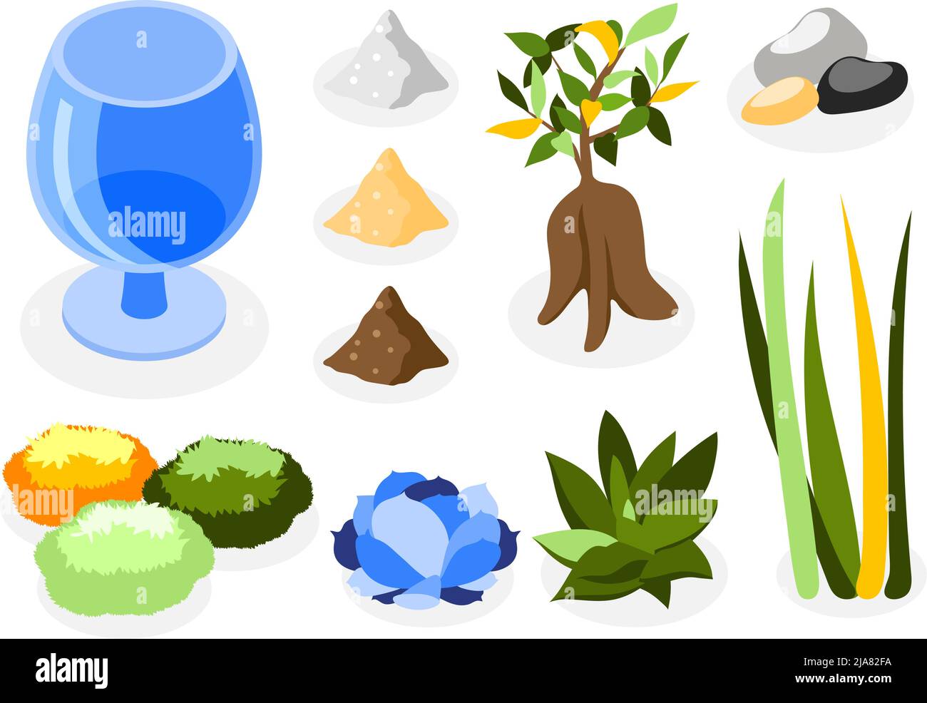 Plants decorative set with houseplants glass package and stones