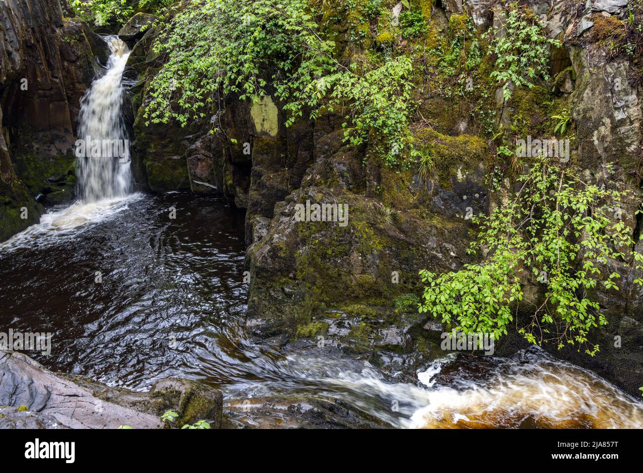 Hollybush Spout, one of the waterfalls on the Ingleton Waterfalls Trail in the Yorkshire Dales, North Yorkshire, England, UK Stock Photo