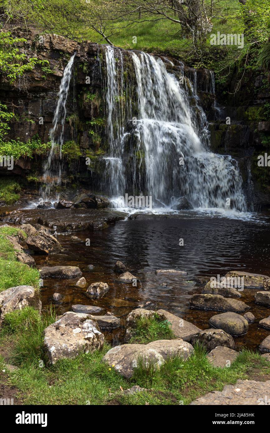 East Gill Force waterfall on the river Swale in Swaledale near the Pennine Way between Keld and Muker in the North Yorkshire Dales, England. Stock Photo