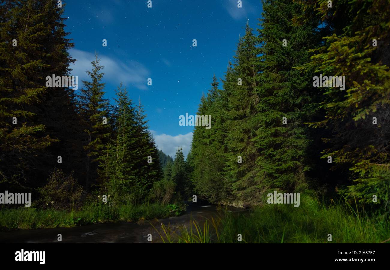 Night photo of Frumoasa river flowing downhill through an alpine grassland and coniferous forests. Clear night in Sureanu Mountains. Stock Photo