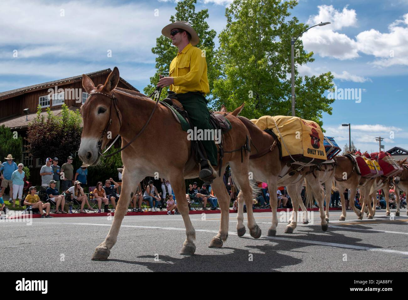 The Mule Days Parade is a staple of the Mule Days celebration in
