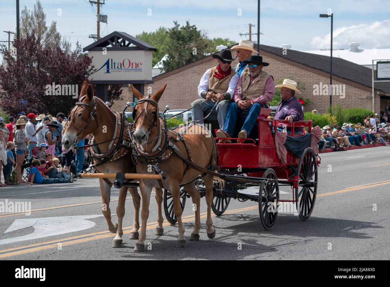 The Mule Days Parade is a staple of the Mule Days celebration in