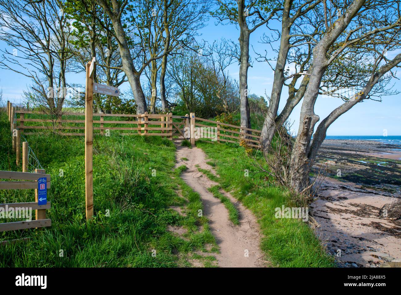 Northumberland coastal path Stock Photo