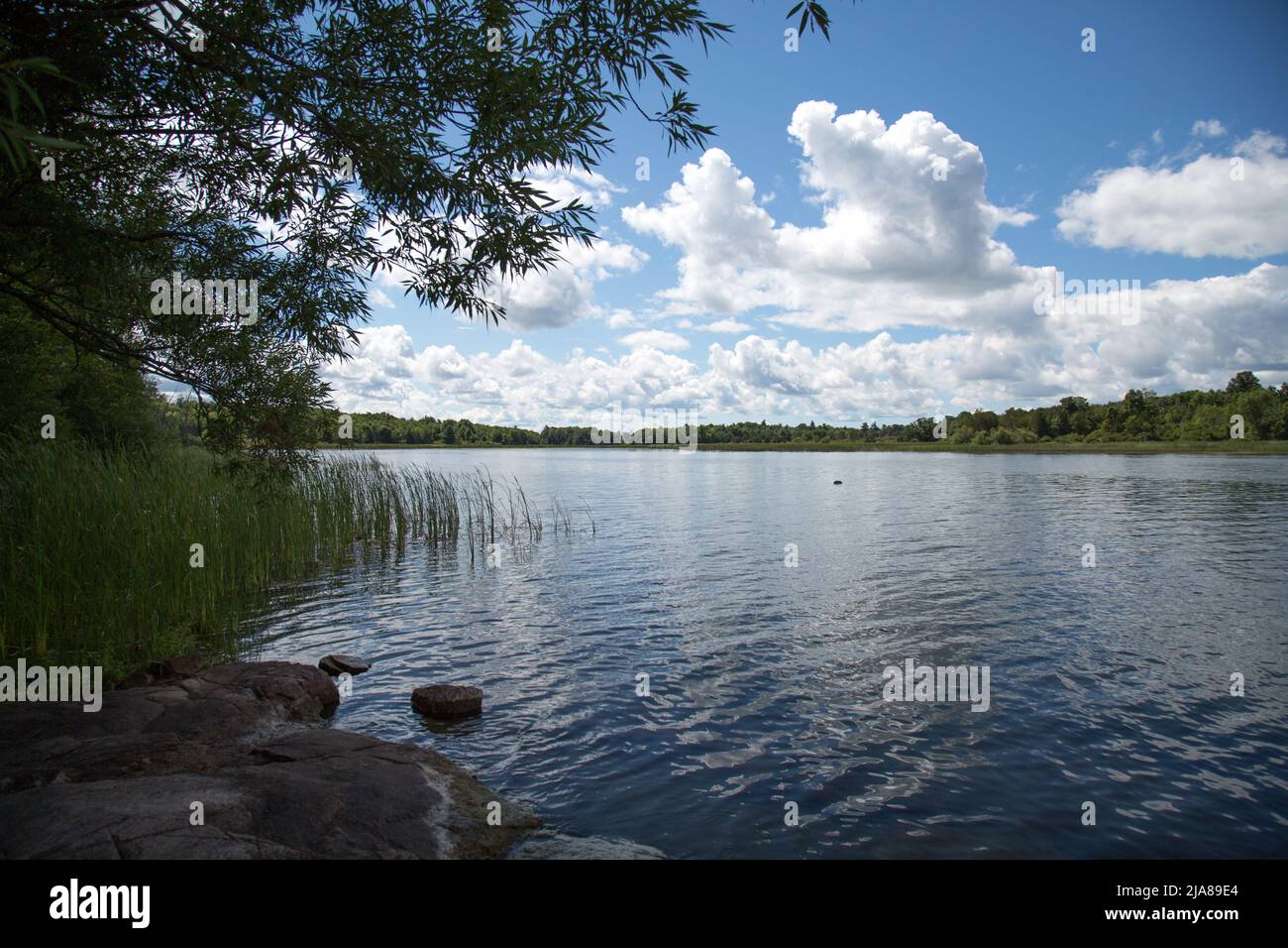The rocky banks of the Saint Lawrence River on Grindstone Island Stock