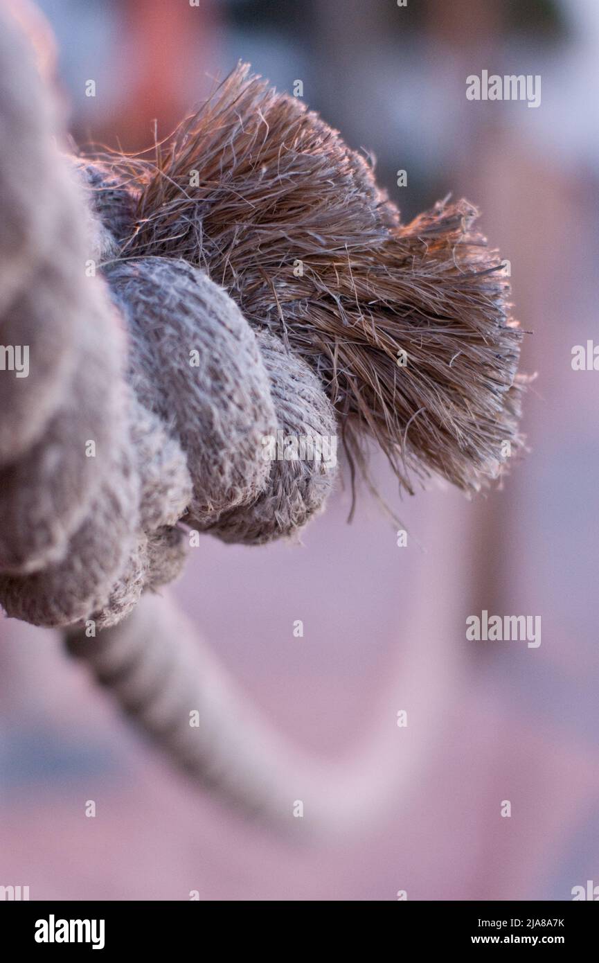 Closeup of a frayed knot in a thick used piece of rope suspended into the distance Stock Photo