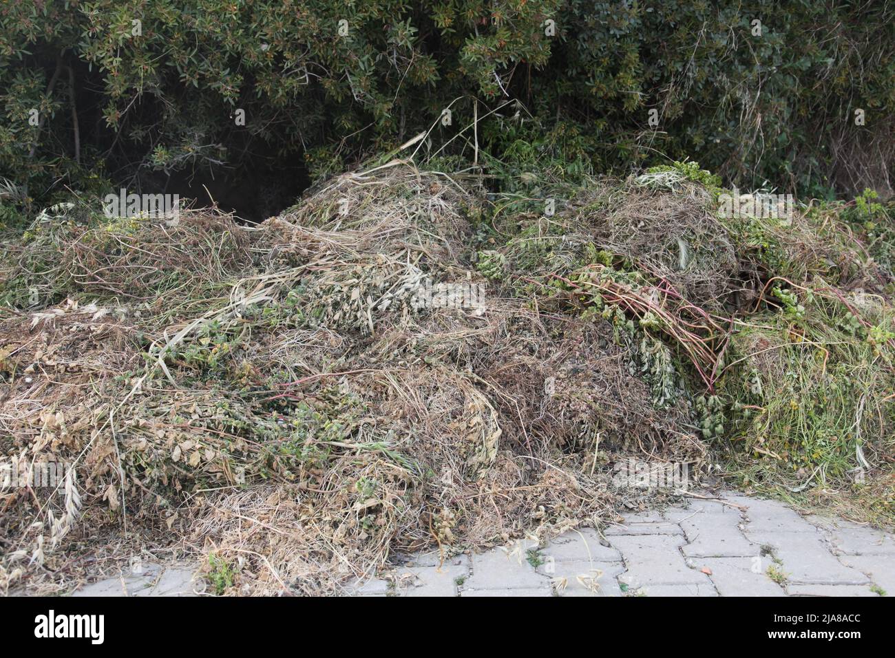 Pruning in the garden waste. Pile of garden waste. Stock Photo