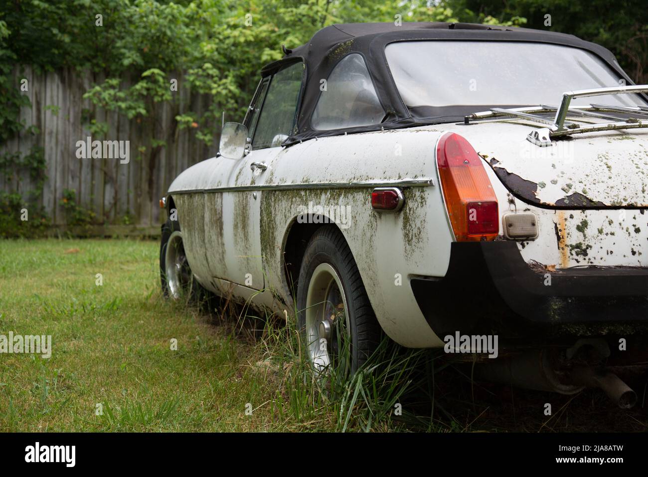 Overgrown sports field hi-res stock photography and images - Alamy