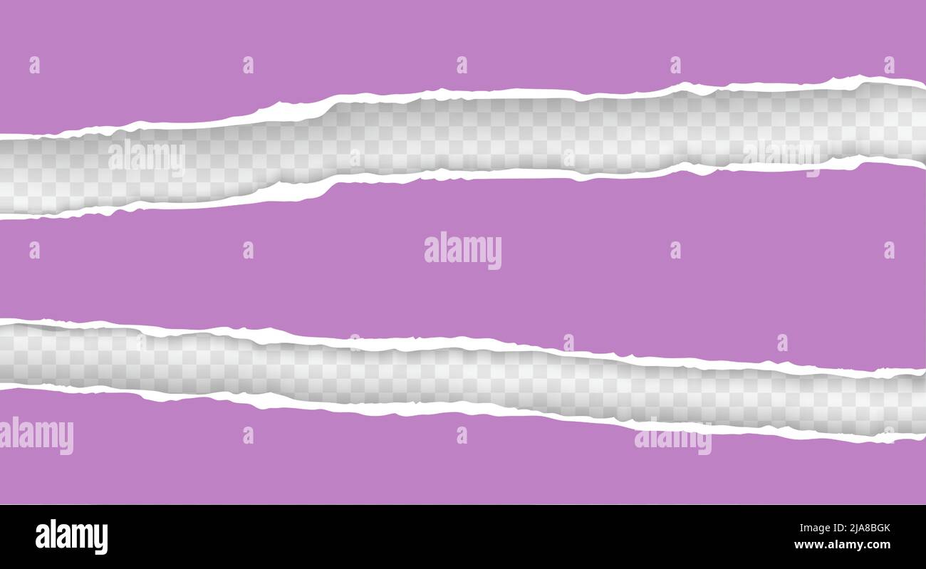 Violet Ripped Paper Torn ripped pieces of horizontal violet paper with soft shadow on ...