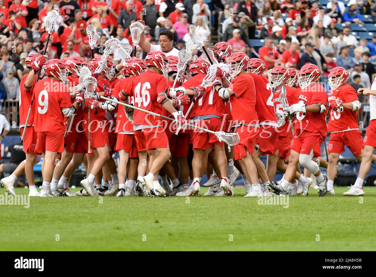 March 28, 2022 () Cornell celebrates a victory of the 2022 NCAA Men's