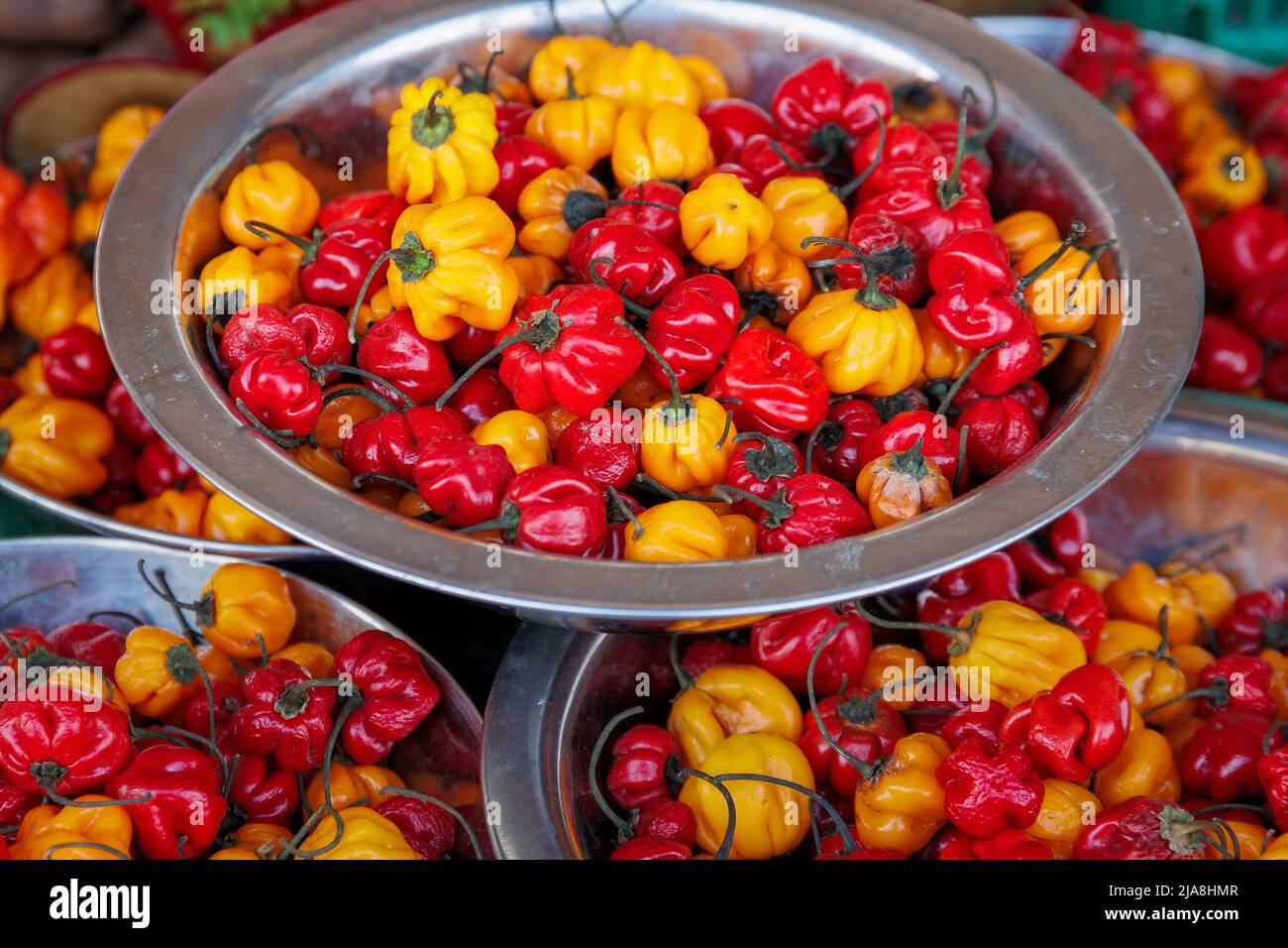 Spicy, hot, colourful chilli peppers, Capsicum chinense, on display on a market stall Stock Photo