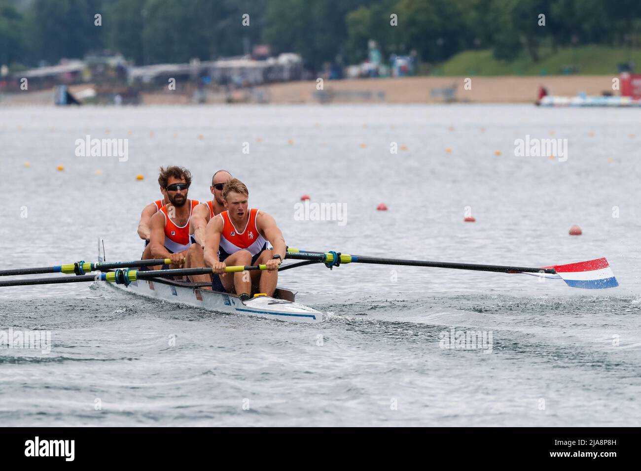 Ritsema hi-res stock photography and images - Page 2 - Alamy