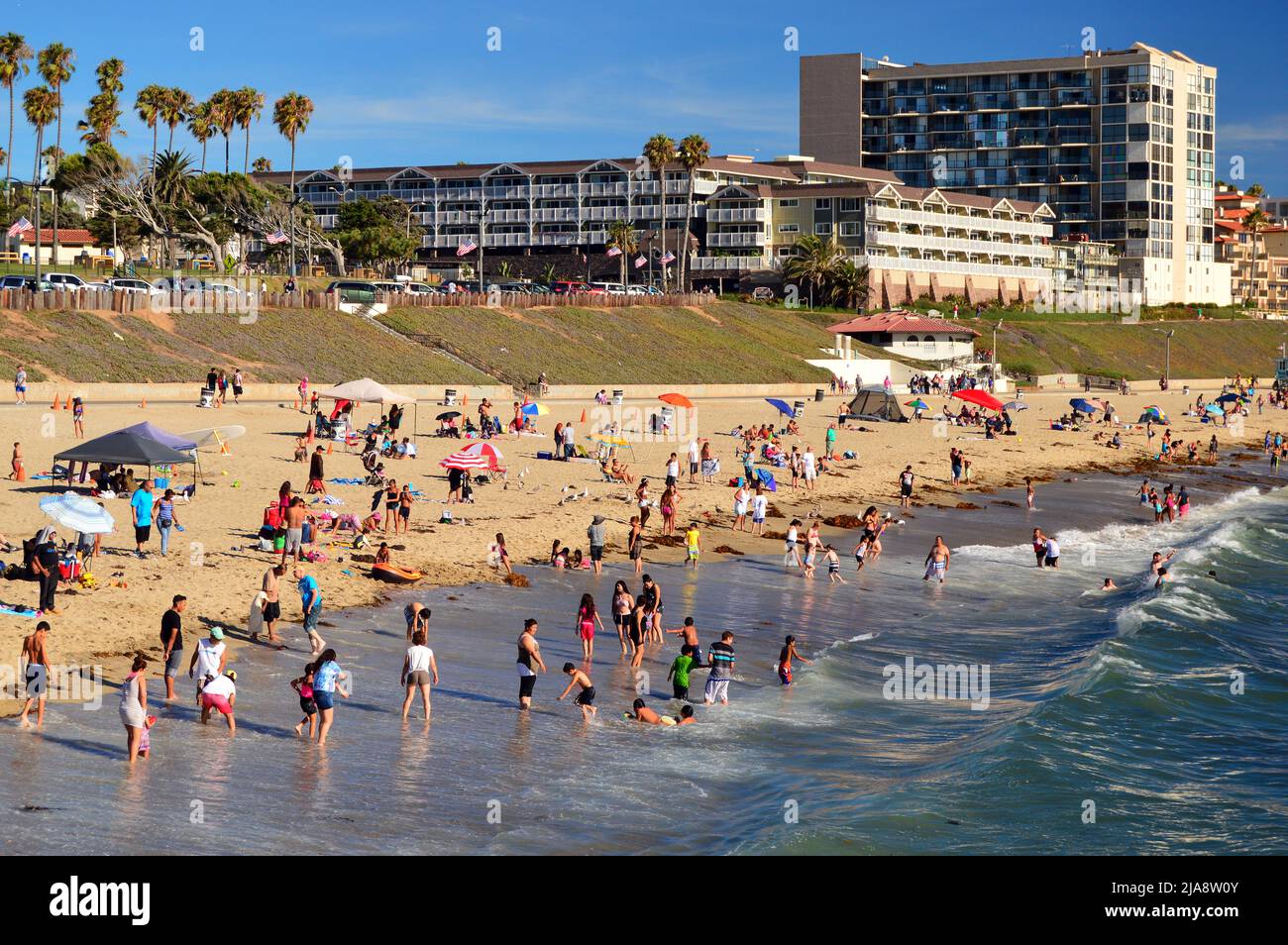 A crowd enjoys the ocean waters on a summer’s day in Redondo Beach, California Stock Photo