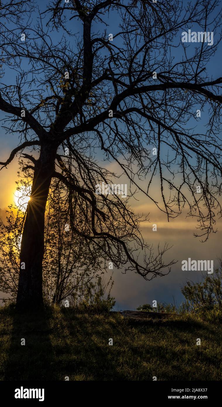 Sunrise on Blaisdell Lake in northern Wisconsin. Stock Photo