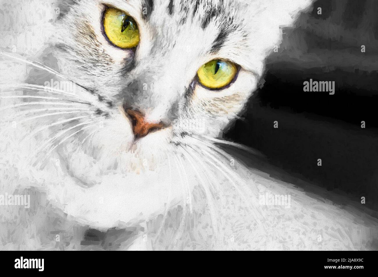 A Close Up Of A Tabby Cat In Graphic Illustration Format Stock Photo