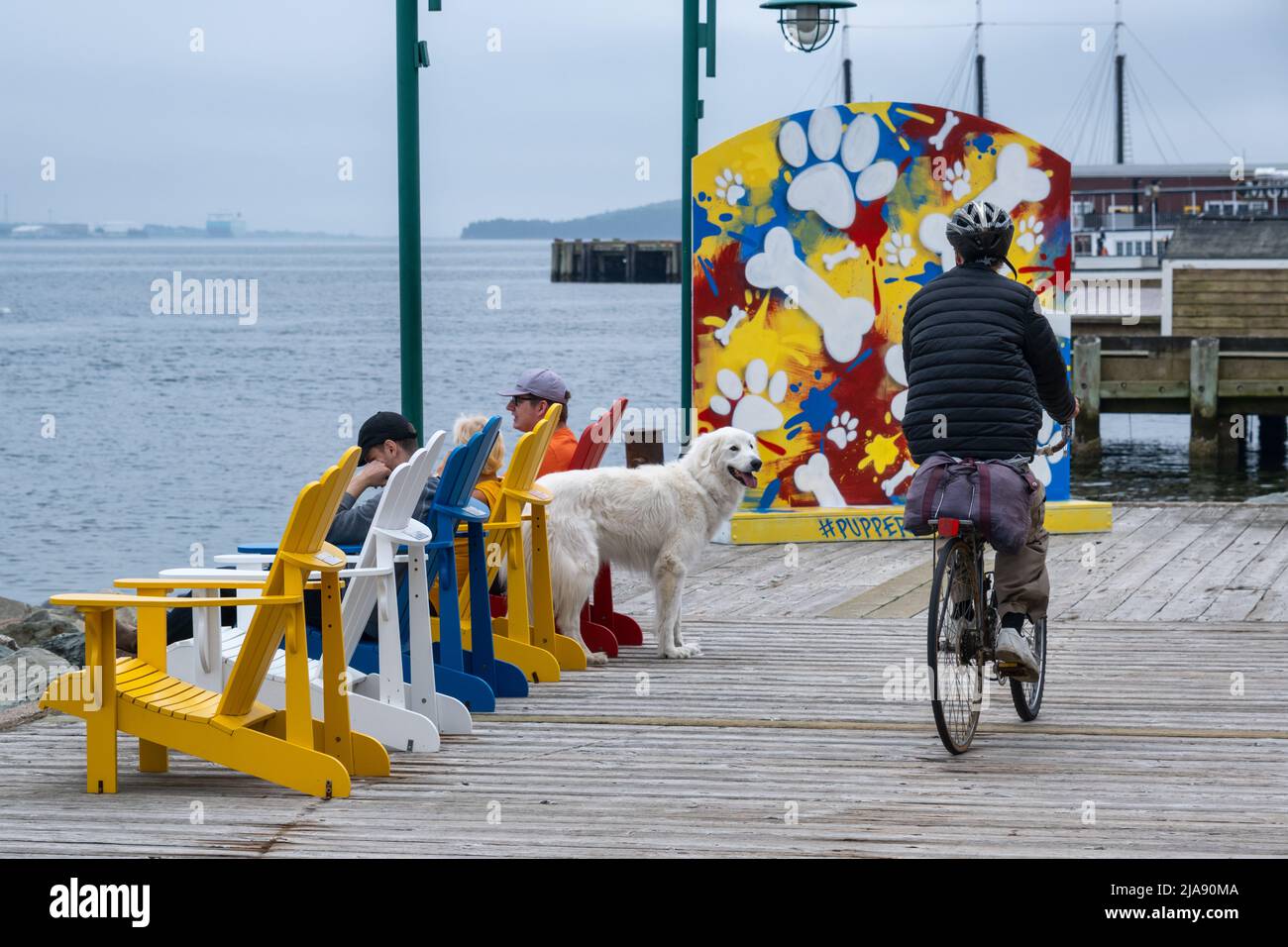 Halifax, Nova Scotia, Canada 10 August 2021 People at Halifax