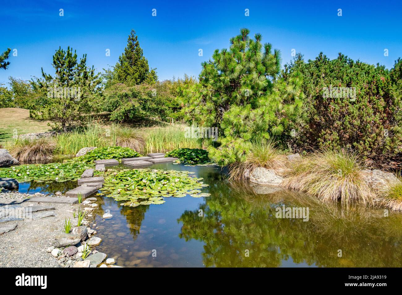 Miyazu Japanese Garden, Nelson, New Zealand, on a bright summer day. Stock Photo