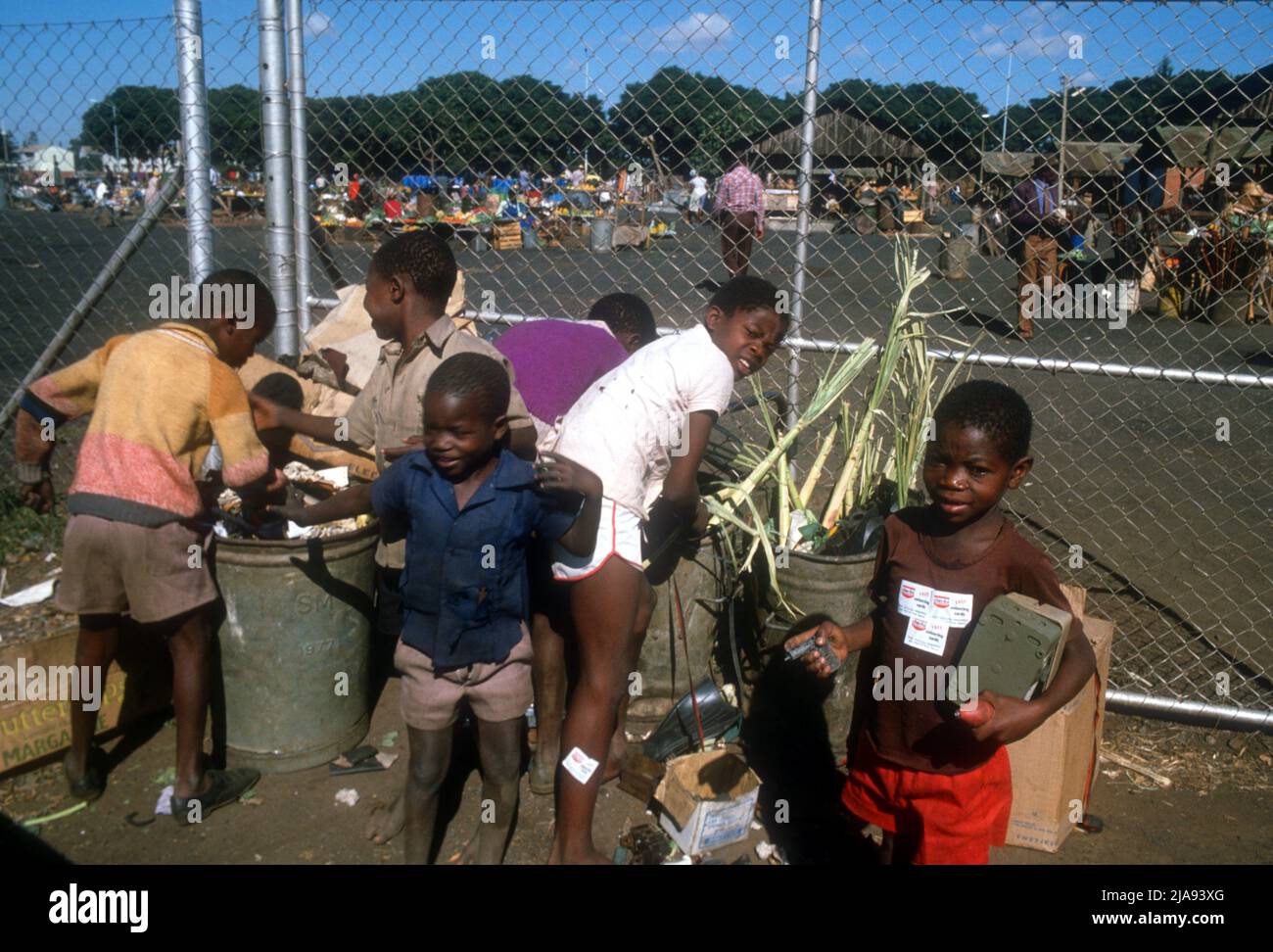 Children scavenging in rubbish bins in Harare, Zimbabwe Stock Photo Alamy