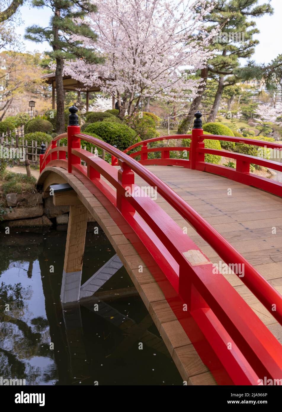 Takuei-chi Pond in Shukkeien 縮景園, Japanese garden, Hiroshima City, Western Honshu, Japan Stock Photo