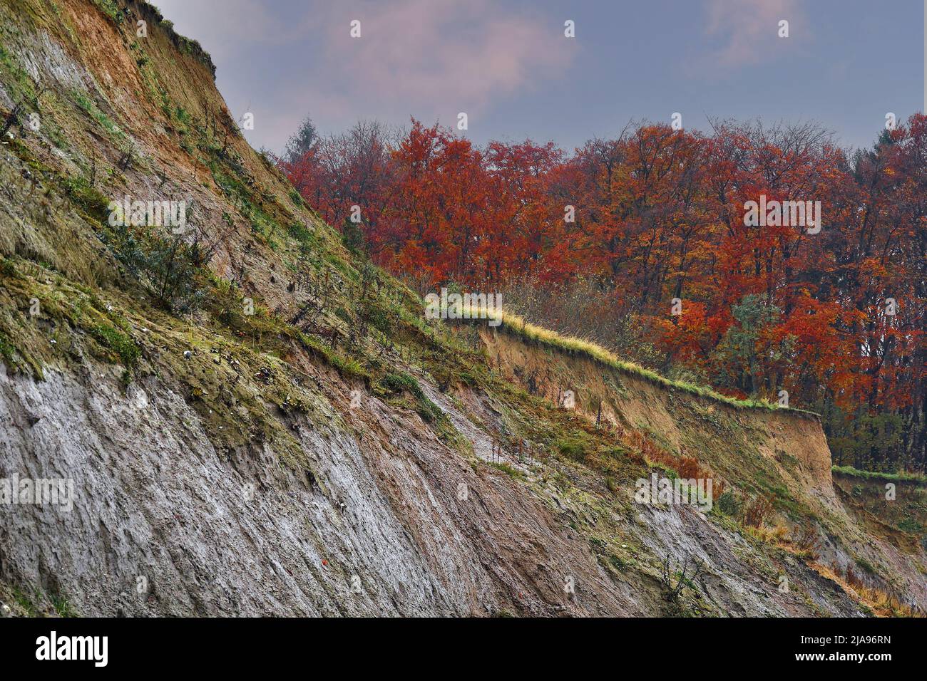 Steep bank Brodtener shore at the Timmendorfer beach, Luebeck Stock Photo