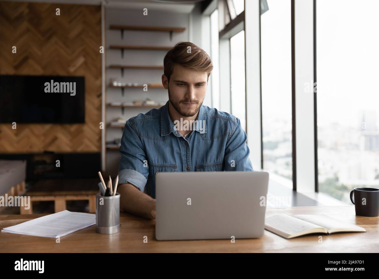 Serious distance employee working from home, using laptop Stock Photo
